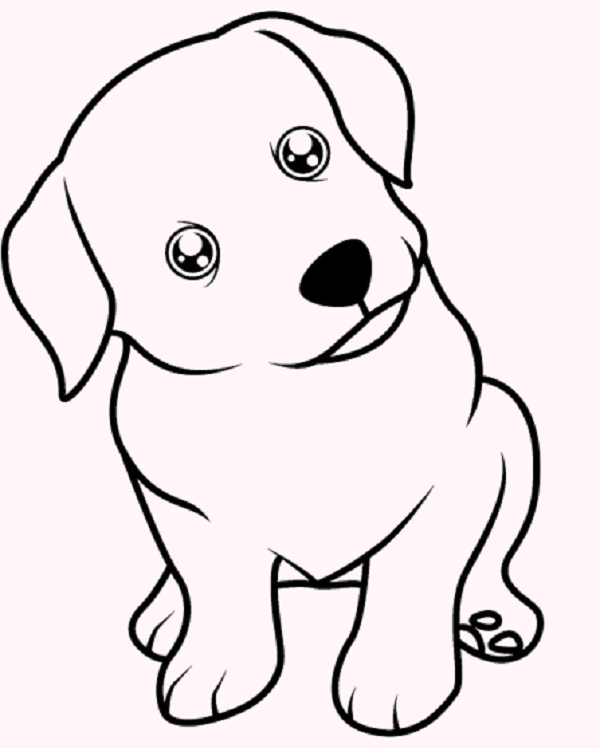 Adorable Puppy Drawing