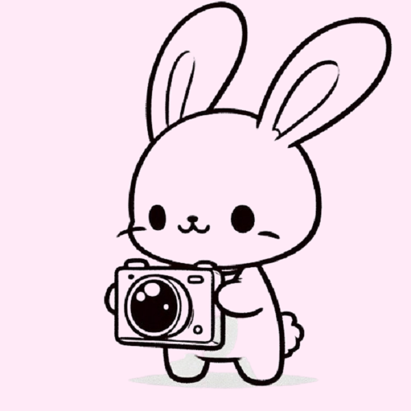 Bunny with a Camera Drawing