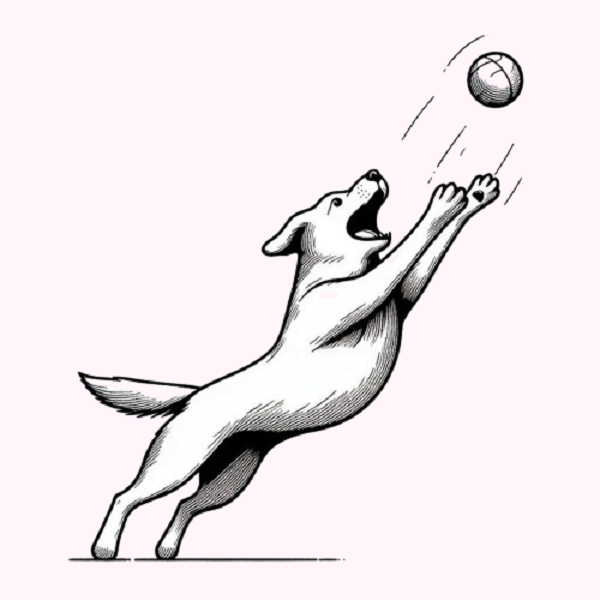 Dog Catching a Ball Drawing