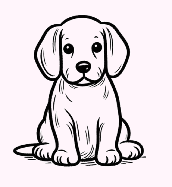 Dog Floppy Ears Drawing