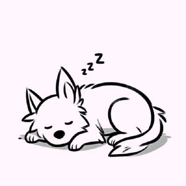 Dog Taking a Nap Drawing