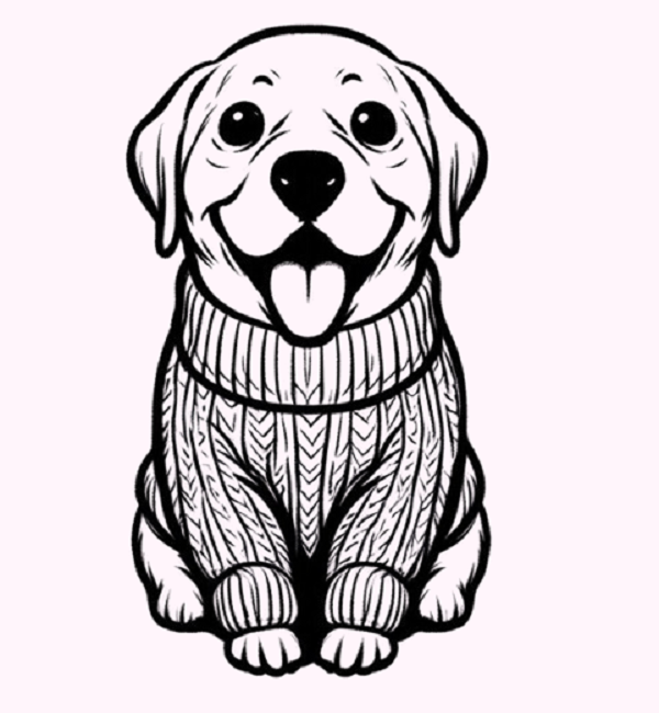 Dog in a Sweater Drawing