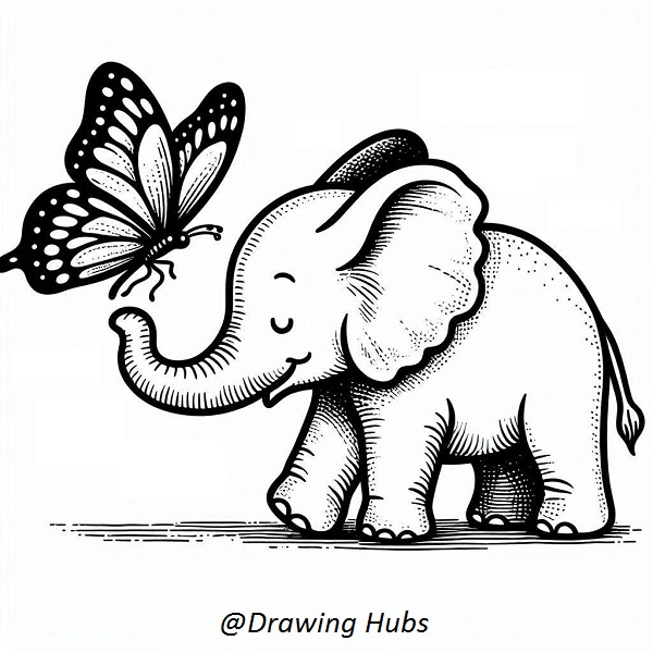 Elephant and Butterfly Drawing