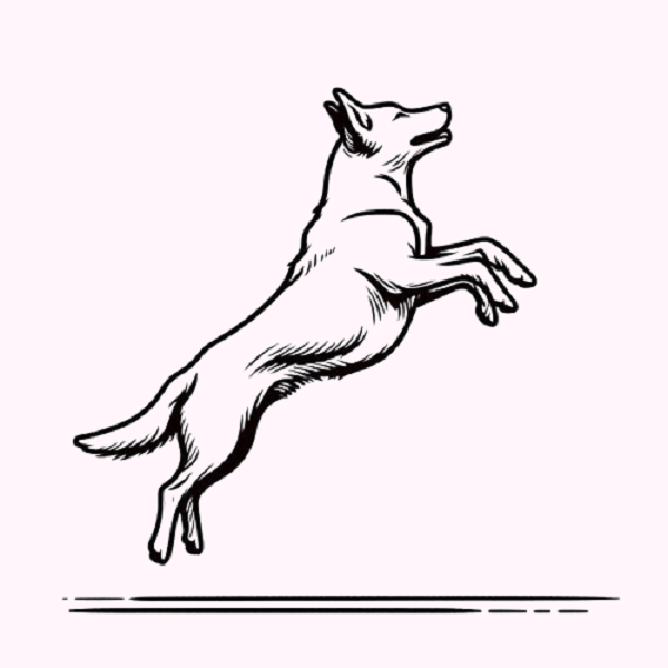 Jumping Dog Drawing