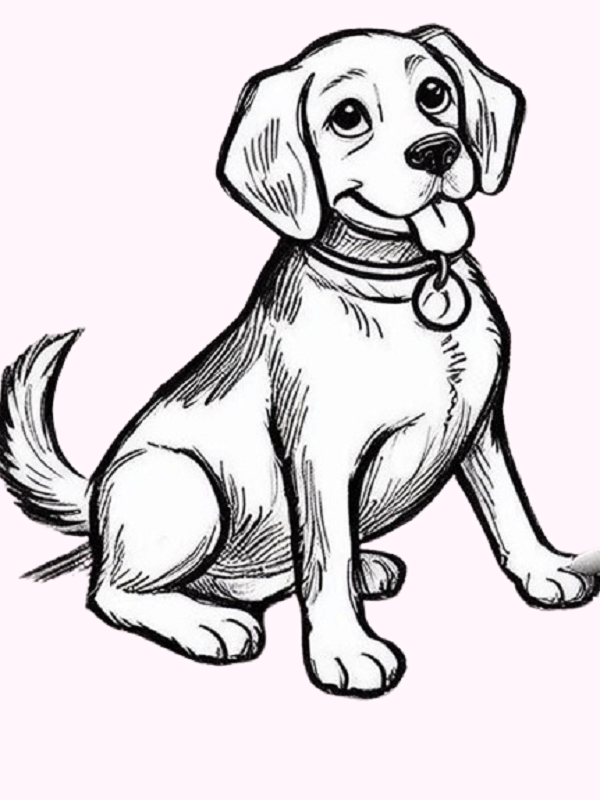 Sitting Dog Drawing