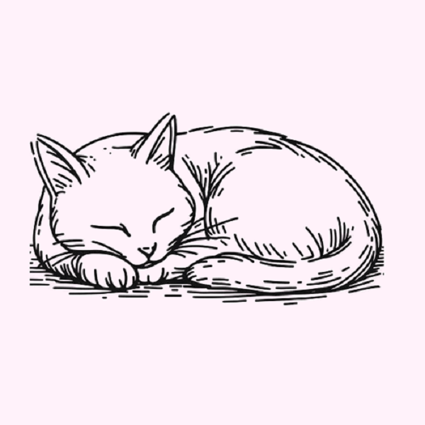 Sleeping cat