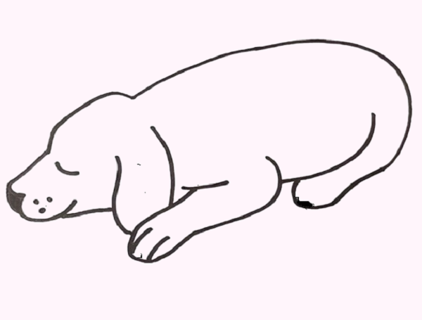 Sleepy Dog Drawing