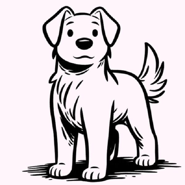 Standing Dog Drawing