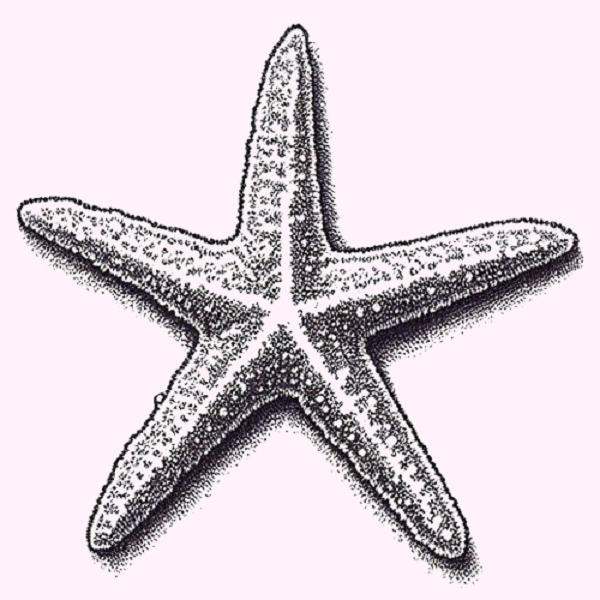 Tiny Starfish