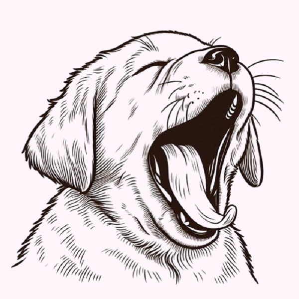 Yawning Dog Drawing