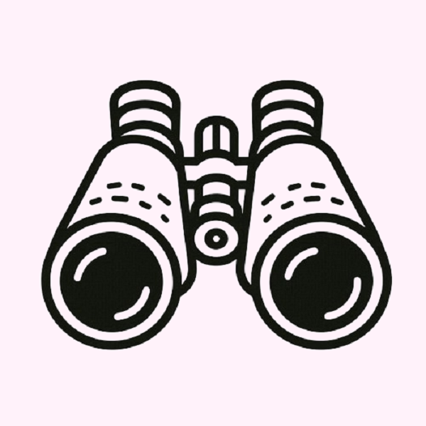 Pair of Binoculars