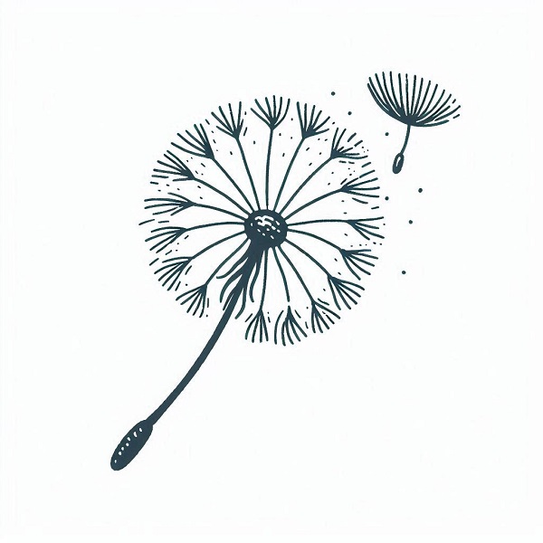 dandelion seed drawing