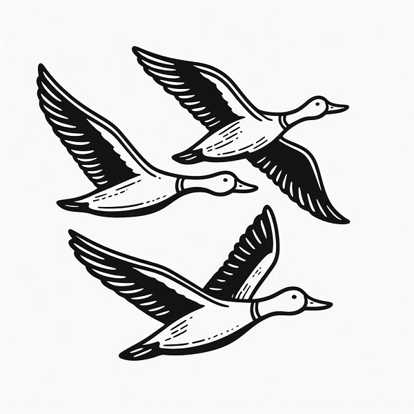 Flying Ducks Drawing