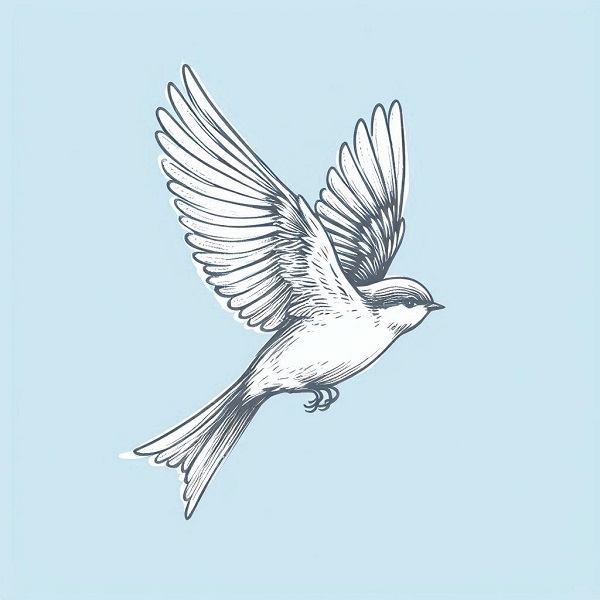 flying bird drawing 4